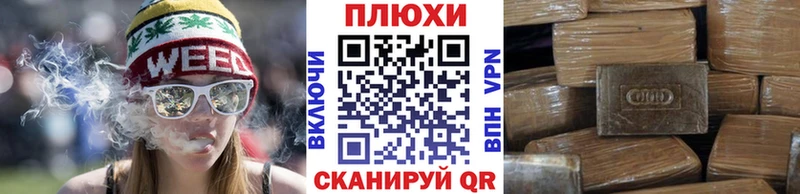 ГАШ Premium Канаш