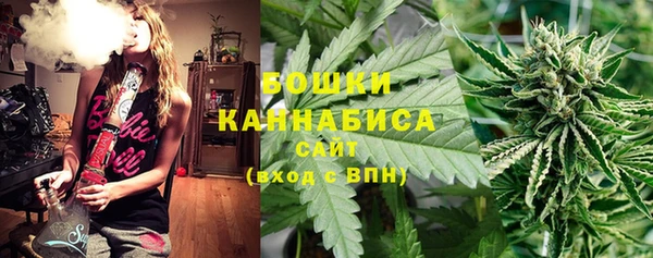 стаф Россошь