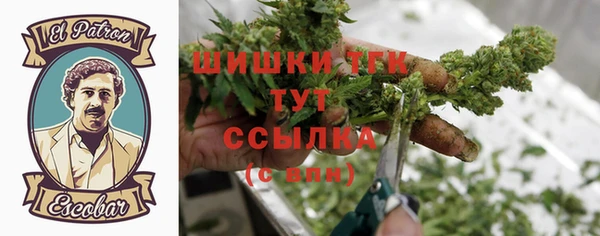 дмт Алексеевка