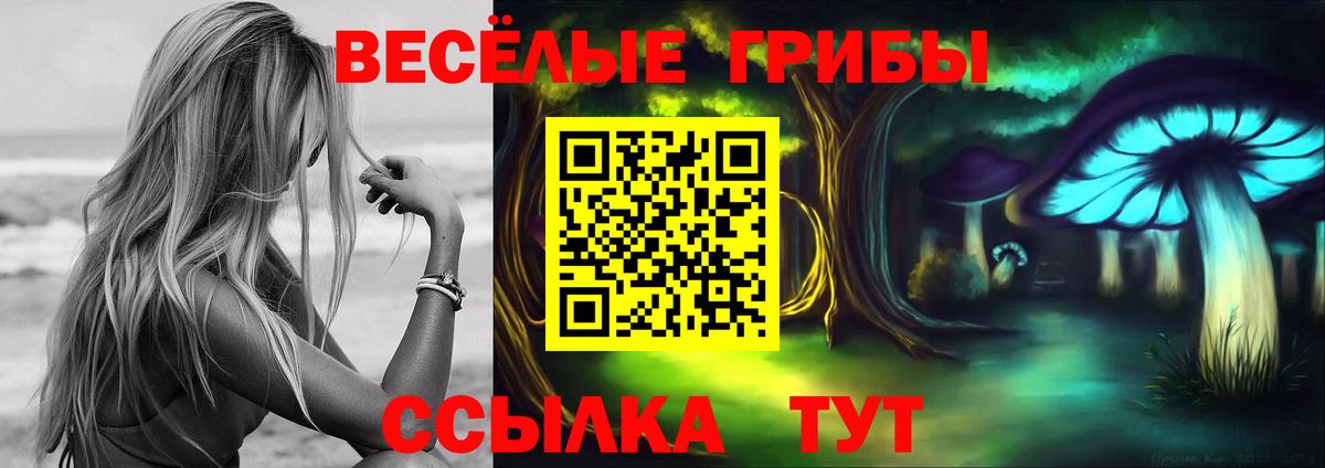 Галлюциногенные грибы MAGIC MUSHROOMS Канаш